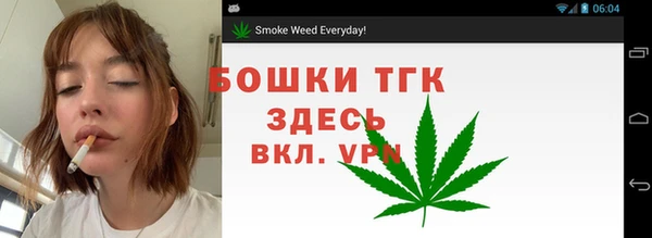 гидропоника Белоозёрский
