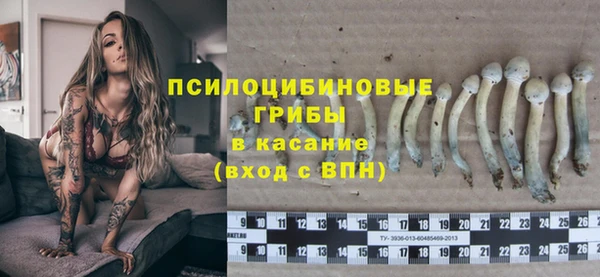 гидропоника Белоозёрский