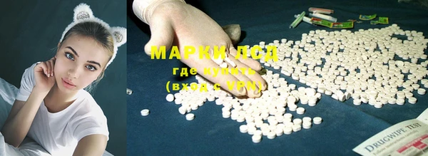 мяу мяу мука Беломорск